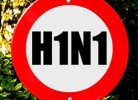 Вирус гриппа A (H1N1)